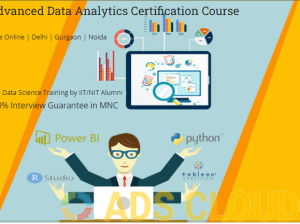 Job Oriented Data Analyst Training Course in Delhi