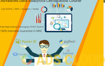 Job Oriented Data Analyst Training Course in Delhi