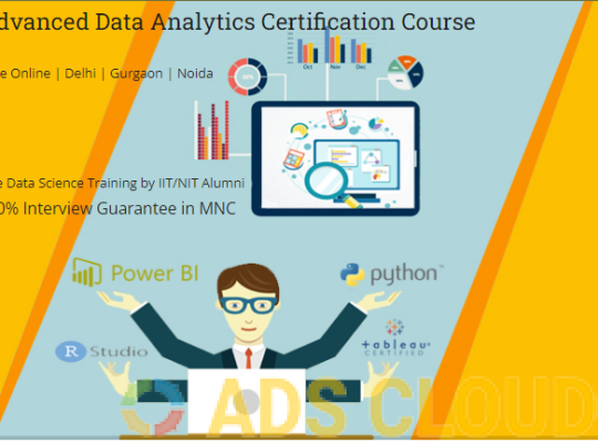 Job Oriented Data Analyst Training Course in Delhi